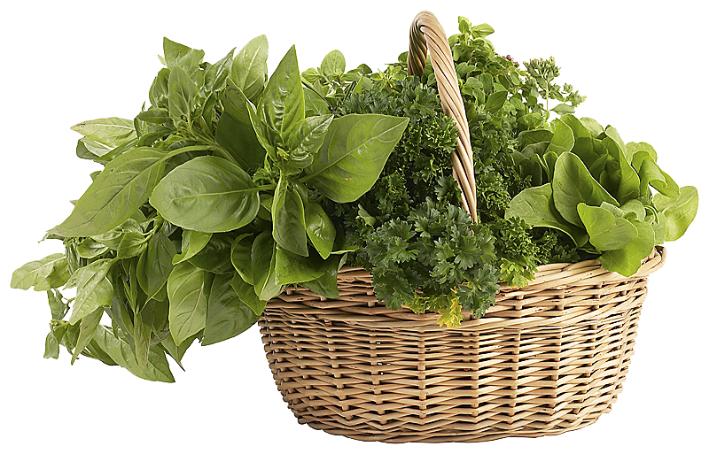 Herb Products